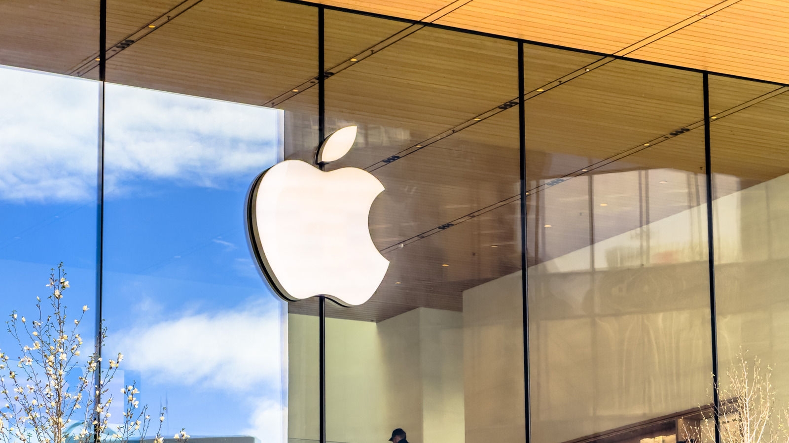 Apple Privacy-First Smart Home Camera