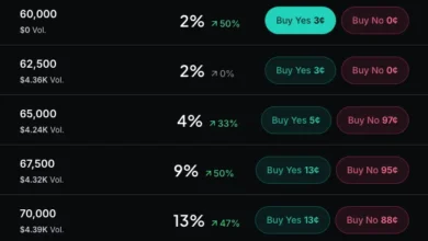 IMF Tokenized Stock Report