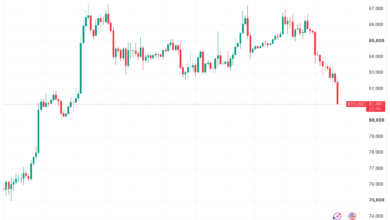 Bitcoin Falls Amid Iran Tensions and Rate Hike Bets